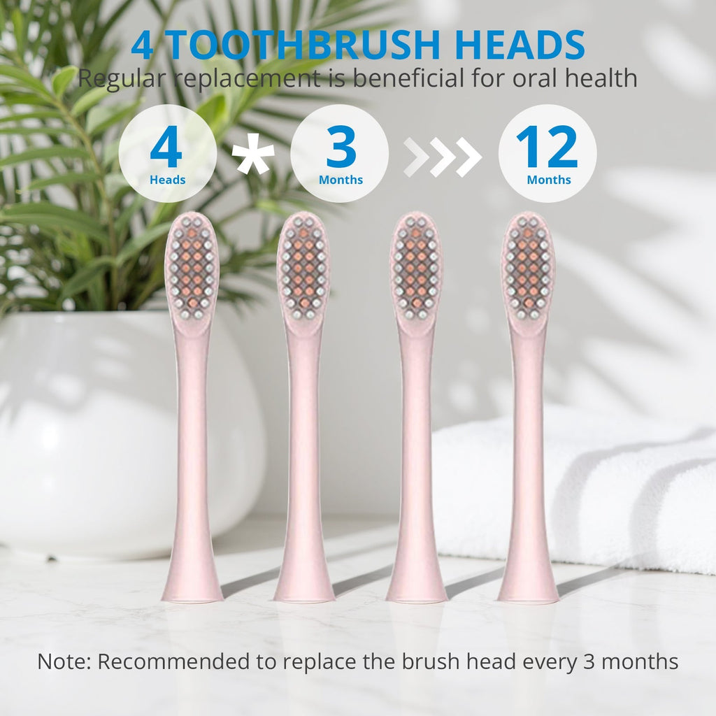 Powered Toothbrushes  USB Rechargeable Ultrasonic Tooth Brush, Smart Timer IPX7 Waterproof Cleaning Toothbrushes for Adults and Kids